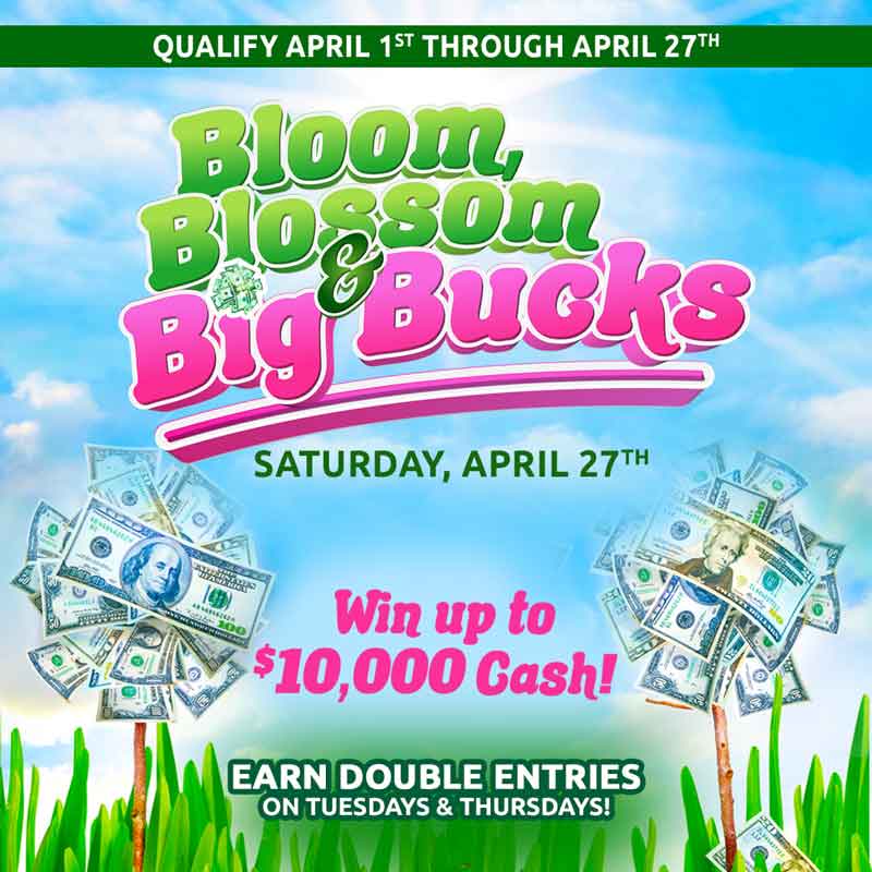 Bloom Blossom Big Bucks Dakota Magic Casino Promotions April 2024